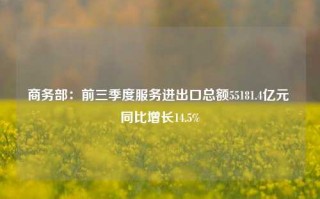 商务部：前三季度服务进出口总额55181.4亿元 同比增长14.5%