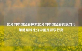 比分网中国足彩探索比分网中国足彩的魅力与策略足球比分中国足彩李行亮