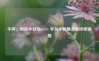 午评：创指半日涨0.23% 华为手机概念股持续强势