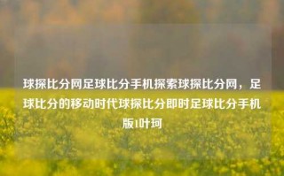 球探比分网足球比分手机探索球探比分网，足球比分的移动时代球探比分即时足球比分手机版1叶珂