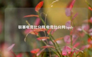 联赛电竞比分网,电竞比分网1zpaly