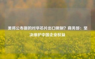 美将公布新的对华芯片出口限制？商务部：坚决维护中国企业权益