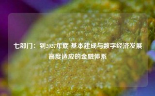 七部门：到2027年底 基本建成与数字经济发展高度适应的金融体系