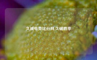 久诚电竞比分网,久诚胜率