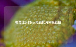 电竞比分网nga,电竞比分网极竞技