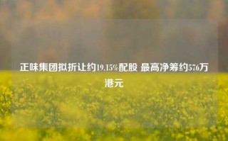 正味集团拟折让约19.15%配股 最高净筹约576万港元