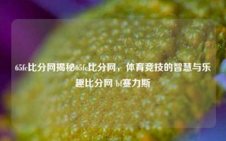 65fc比分网揭秘65fc比分网，体育竞技的智慧与乐趣比分网 bf赛力斯