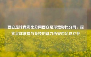 西安足球竞彩比分网西安足球竞彩比分网，探索足球激情与竞技的魅力西安市足球立冬