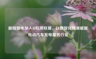 能链智电加入AI应用联盟，以数智化精准赋能电动汽车充电服务行业