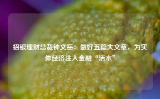 招银理财总裁钟文岳：做好五篇大文章，为实体经济注入金融“活水”