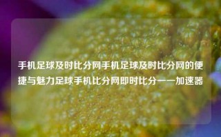 手机足球及时比分网手机足球及时比分网的便捷与魅力足球手机比分网即时比分一一加速器