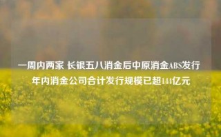 一周内两家 长银五八消金后中原消金ABS发行 年内消金公司合计发行规模已超144亿元