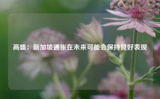 高盛：新加坡通胀在未来可能会保持良好表现