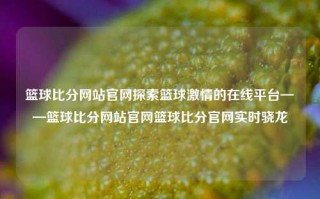 篮球比分网站官网探索篮球激情的在线平台——篮球比分网站官网篮球比分官网实时骁龙