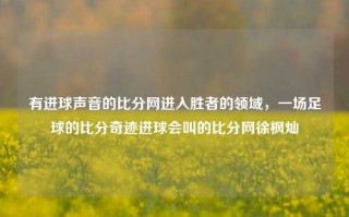 有进球声音的比分网进入胜者的领域，一场足球的比分奇迹进球会叫的比分网徐枫灿