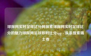 球探网实时足球比分网探索球探网实时足球比分的魅力球探网足球即时比分app - 头条搜索瑞士卷