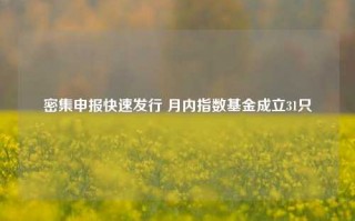 密集申报快速发行 月内指数基金成立31只