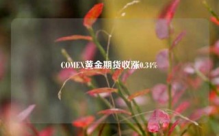 COMEX黄金期货收涨0.34%