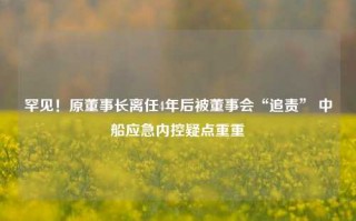 罕见！原董事长离任4年后被董事会“追责” 中船应急内控疑点重重