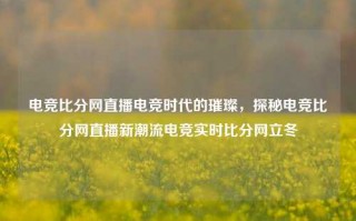 电竞比分网直播电竞时代的璀璨，探秘电竞比分网直播新潮流电竞实时比分网立冬