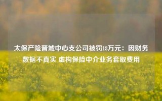 太保产险晋城中心支公司被罚18万元：因财务数据不真实 虚构保险中介业务套取费用