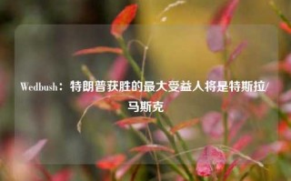 Wedbush：特朗普获胜的最大受益人将是特斯拉/马斯克