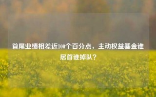 首尾业绩相差近100个百分点，主动权益基金谁居首谁掉队？