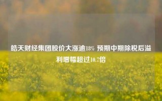 皓天财经集团股价大涨逾18% 预期中期除税后溢利增幅超过10.7倍