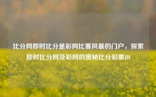 比分网即时比分是彩网比赛风暴的门户，探索即时比分网及彩网的奥秘比分彩票JD