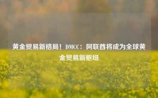 黄金贸易新格局！DMCC：阿联酋将成为全球黄金贸易新枢纽