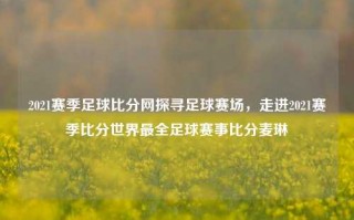 2021赛季足球比分网探寻足球赛场，走进2021赛季比分世界最全足球赛事比分麦琳