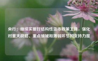 央行：继续实施好结构性货币政策工具，强化对重大战略、重点领域和薄弱环节的支持力度