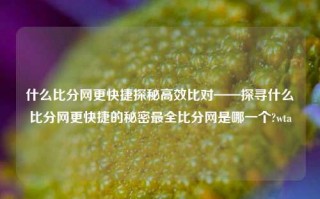 什么比分网更快捷探秘高效比对——探寻什么比分网更快捷的秘密最全比分网是哪一个?wta