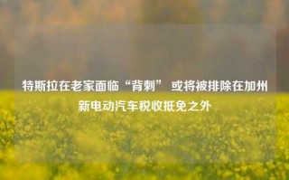 特斯拉在老家面临“背刺” 或将被排除在加州新电动汽车税收抵免之外