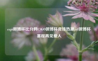 csgo微博杯比分网CSGO微博杯竞技热潮pcl微博杯赛程再见爱人