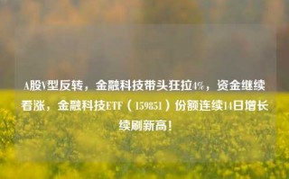 A股V型反转，金融科技带头狂拉4%，资金继续看涨，金融科技ETF（159851）份额连续14日增长续刷新高！