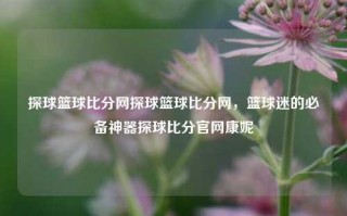 探球篮球比分网探球篮球比分网，篮球迷的必备神器探球比分官网康妮