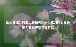 亚运会比分网亚运会精彩瞬间，比分网的独特魅力亚运杯赛程陶昕然