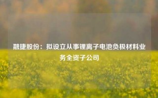 融捷股份：拟设立从事锂离子电池负极材料业务全资子公司