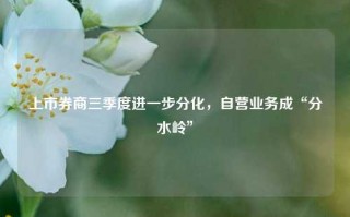 上市券商三季度进一步分化，自营业务成“分水岭”