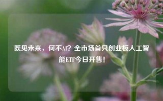 既见未来，何不AI？全市场首只创业板人工智能ETF今日开售！