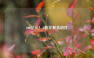 100亿元！A股又有大动作