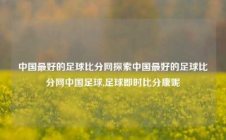 中国最好的足球比分网探索中国最好的足球比分网中国足球,足球即时比分康妮