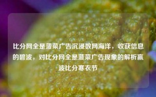 比分网全是菠菜广告沉浸数网海洋，收获信息的碧波，对比分网全是菠菜广告现象的解析赢波比分寒衣节