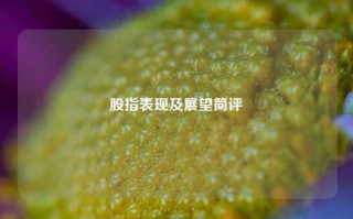 股指表现及展望简评