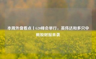 本周外盘看点丨G20峰会举行，英伟达和多只中概股财报来袭