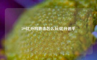 599比分网追击怎么玩,比分追平