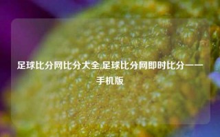 足球比分网比分大全,足球比分网即时比分一一手机版