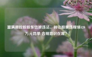 富满微控股股东信披违法、转让股票违规领420万元罚单 合规意识在哪？