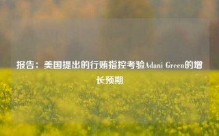 报告：美国提出的行贿指控考验Adani Green的增长预期